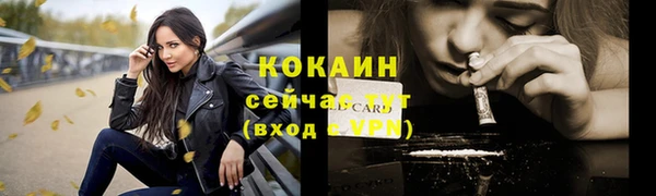 дживик Абинск