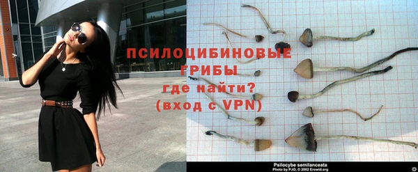 твердый Абаза