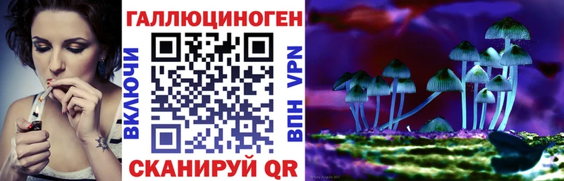 как найти закладки  Кингисепп  Псилоцибиновые грибы ЛСД 